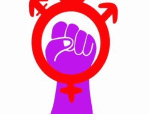 Collectif féministe chalonnais : ciné débat et marche pour la journée internationale de lutte contre les violences sexistes et sexuelles